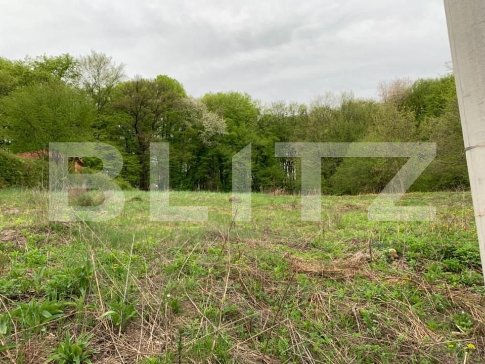 Teren de vânzare Făget - 143790TV | BLITZ Cluj-Napoca | Poza1