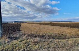 Teren intravilan 2000 mp, PUZ finalizat, in Jucu