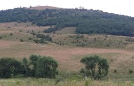 Teren intravilan 5700 mp in zona Centurii Muncii-Apahida