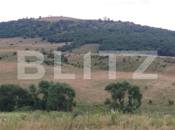 Teren de vânzare Exterior Est - 143799TV | BLITZ Cluj-Napoca | Poza1