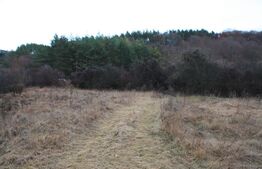 Teren intravilan, 1539 mp,  zona Aapp, Faget