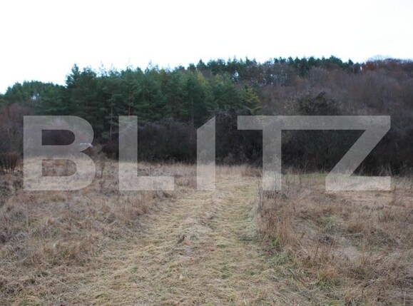 Teren de vânzare Făget - 143802TV | BLITZ Cluj-Napoca | Poza2