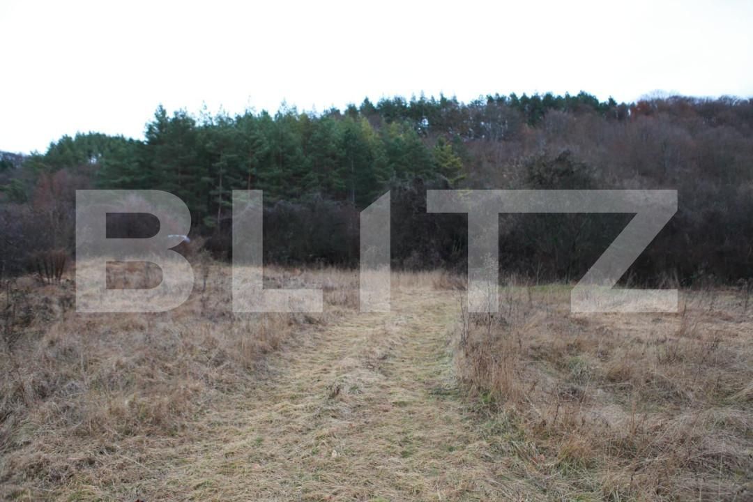 Teren de vânzare Făget - 143802TV | BLITZ Cluj-Napoca | Poza2