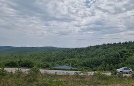 Teren intravilan - 1000 mp, in Salicea