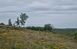 Teren intravilan - 1000 mp, in Salicea