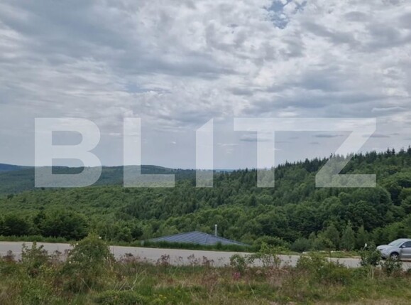 Teren de vânzare Făget - 143804TV | BLITZ Cluj-Napoca | Poza1