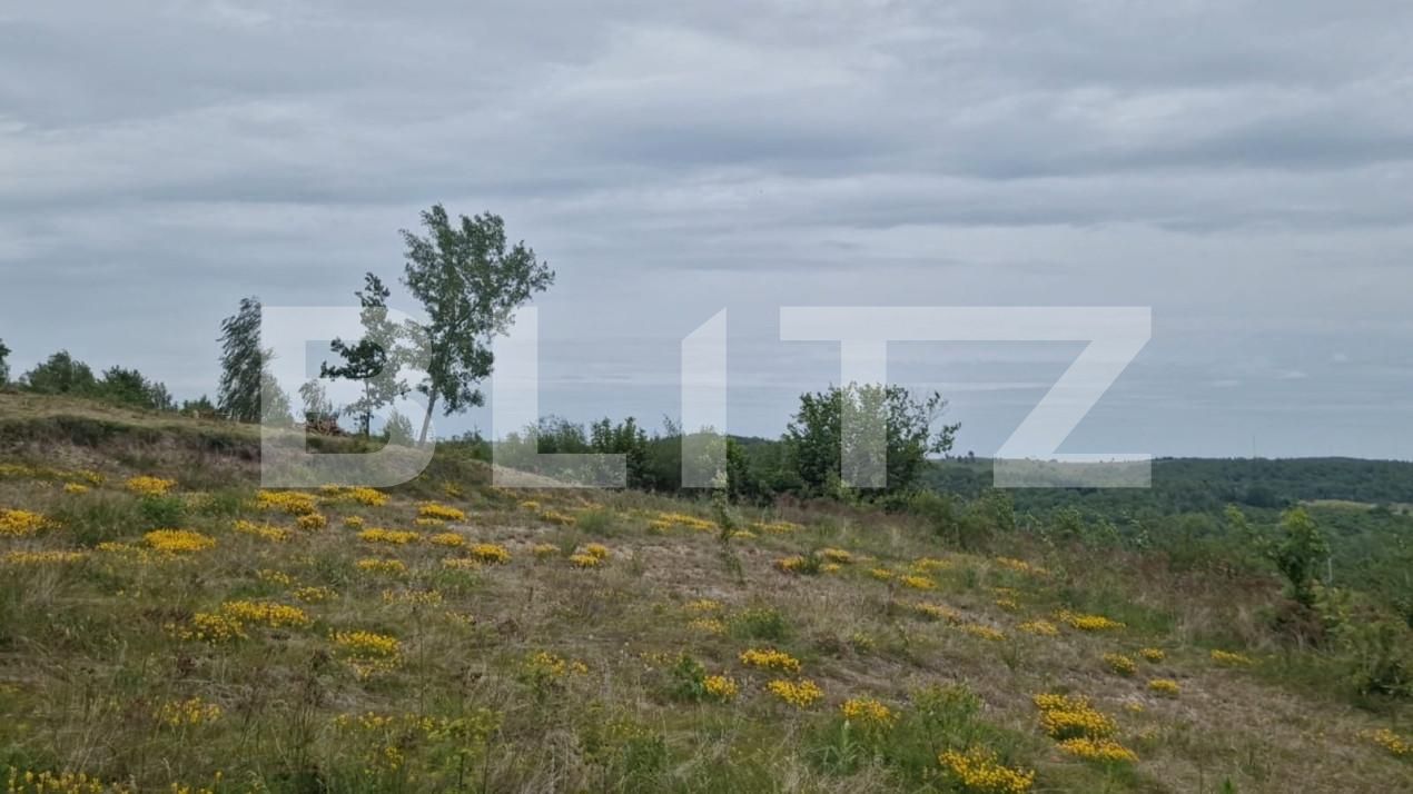 Teren de vânzare Făget - 143804TV | BLITZ Cluj-Napoca | Poza2