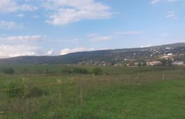 Teren intravilan de investitie, 5000 mp in zona ODOBESTI