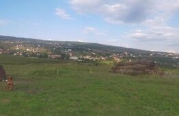 Teren intravilan de investitie, 5000 mp in zona ODOBESTI