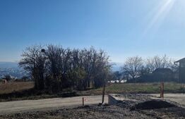 Teren Dambul Rotund extravilan, 6 parcele, 2850 mp, asfalt, utilitati!