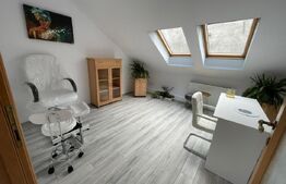 Spațiu comercial, 250 mp, parcări, zona străzii George Baritiu