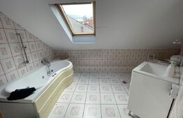 Spațiu comercial, 250 mp, parcări, zona străzii George Baritiu