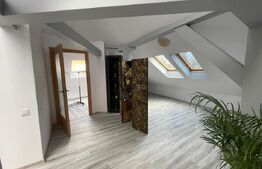 Spațiu comercial, 250 mp, parcări, zona străzii George Baritiu