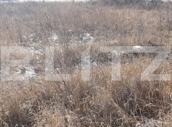 Teren de vânzare Jucu - 143827TV | BLITZ Cluj-Napoca | Poza1