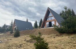 Cabana Marisel 120 mp utili, 1000 mp teren