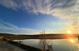 Casa individuala 210 mp utili, 990 mp teren, locatie deosebita,Campenesti