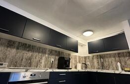 Spatiu multifunctional, 260 mp, parter, zona Interservisan