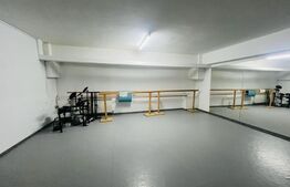 Spatiu multifunctional, 260 mp, parter, zona Interservisan