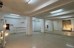 Spatiu multifunctional, 260 mp, parter, zona Interservisan