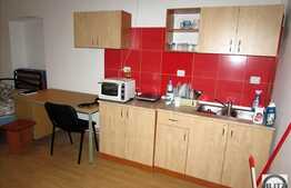 1 camera, 40 mp, imobil tip casa, mobilat modern, zona 21 Decembrie