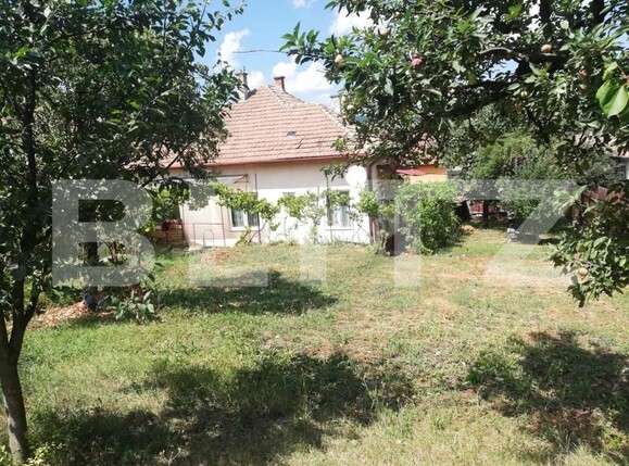 Casa de vânzare 4 camere Gruia - 143927CV | BLITZ Cluj-Napoca | Poza4
