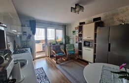 Apartament 2 camere,50 mp utili, zona Leroy Merlin