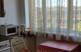 Apartament cu o camera semicentral, zona străzii Horea.
