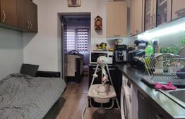 Apartament in casa 30 mp utili, 180 mp teren propriu, zona strazii Oasului