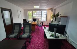 EXCLUSIVITATE! Casa 450 mp,Piata Mihai Viteazul