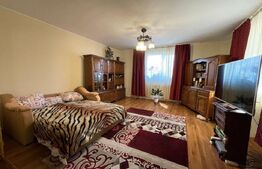 Casa individuala cu potential comercial , 400 mp,  Avram Iancu 