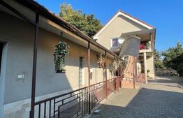 Casa individuala cu potential comercial , 400 mp,  Avram Iancu 