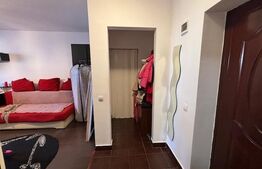 Apartament 1 camera, etaj intermediar,35 mp utili, zona Porii