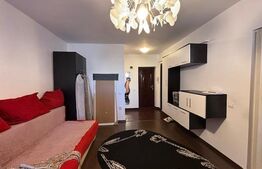 Apartament 1 camera, etaj intermediar,35 mp utili, zona Porii