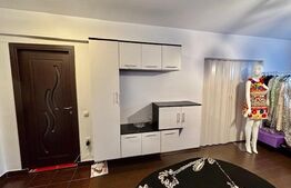 Apartament 1 camera, etaj intermediar,35 mp utili, zona Porii