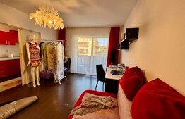 Apartament 1 camera, etaj intermediar,35 mp utili, zona Porii