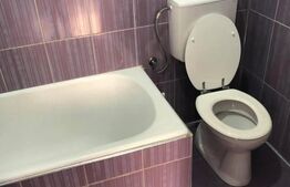 Casa individuala, 270 mp, 350 mp de teren, 11 camere, Dambul Rotund