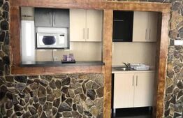 Casa individuala, 270 mp, 350 mp de teren, 11 camere, Dambul Rotund