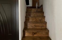 Casa individuala, 270 mp, 350 mp de teren, 11 camere, Dambul Rotund