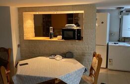 Casa individuala, 270 mp, 350 mp de teren, 11 camere, Dambul Rotund