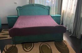 Casa individuala, 270 mp, 350 mp de teren, 11 camere, Dambul Rotund