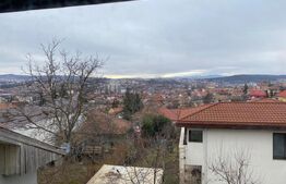 Casa individuala, 270 mp, 350 mp de teren, 11 camere, Dambul Rotund