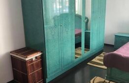 Casa individuala, 270 mp, 350 mp de teren, 11 camere, Dambul Rotund