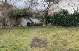 Casa individuala, 270 mp, 350 mp de teren, 11 camere, Dambul Rotund