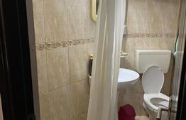 Casa individuala, 270 mp, 350 mp de teren, 11 camere, Dambul Rotund