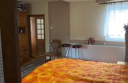 Casa individuala, 270 mp, 350 mp de teren, 11 camere, Dambul Rotund