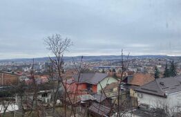 Casa individuala, 270 mp, 350 mp de teren, 11 camere, Dambul Rotund