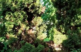 Apartament 2 camere, 64 mp, balcon, zona Calea Motilor