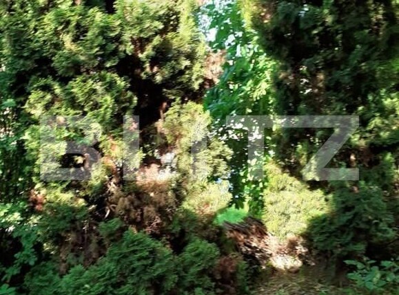 Apartament de vânzare 2 camere Central - 144032AV | BLITZ Cluj-Napoca | Poza6