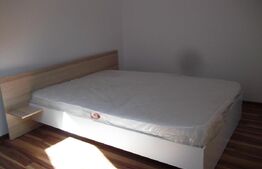 Casa cu 4 apartamente, 260 mp utili! Ideal investitie, cu preluare chiriasi! Zona centrala!