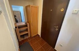 Garsoniera, 20 mp, contorizată separat, zona Lidl Calea Baciului